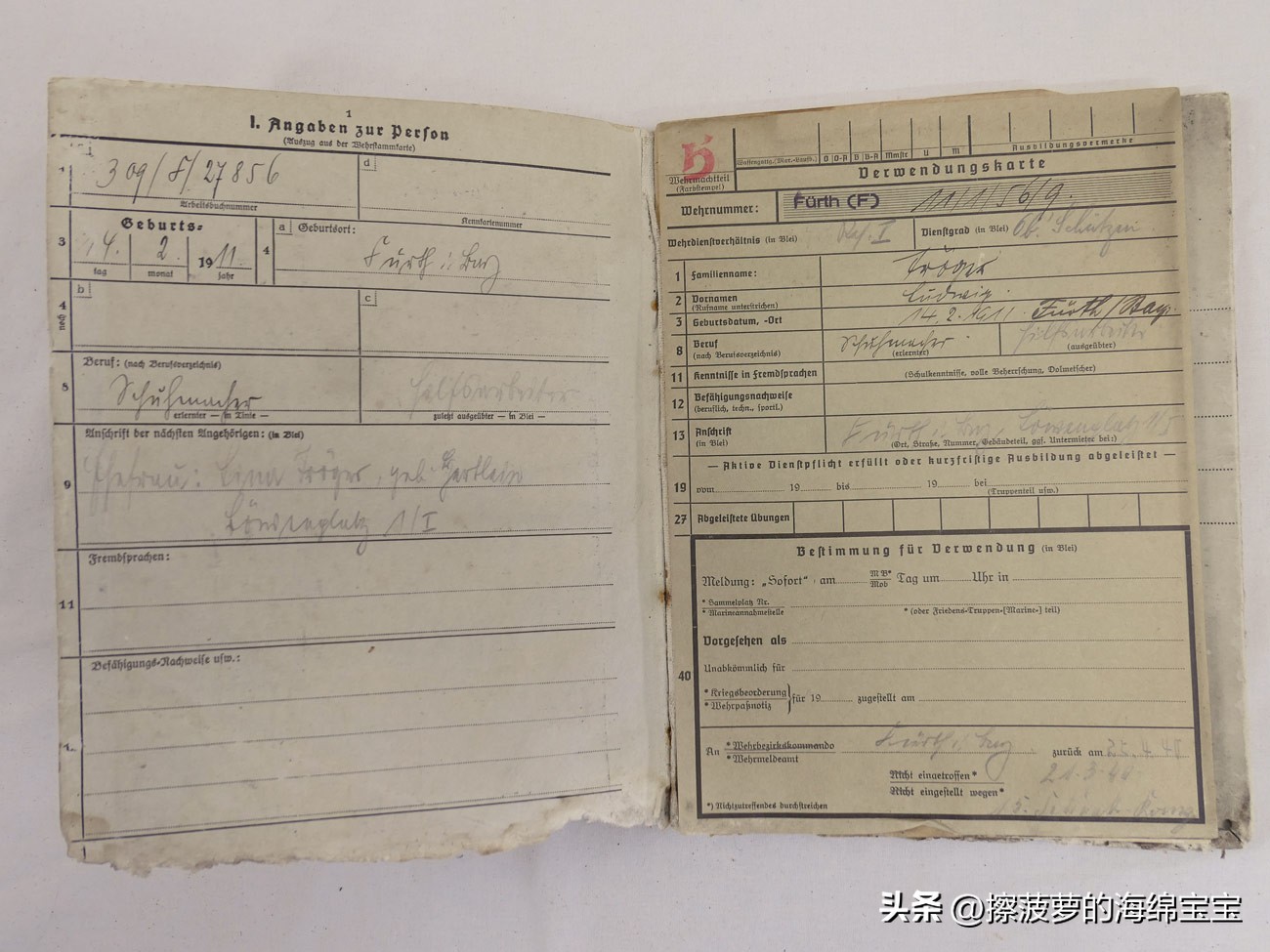 二战时德国军人的肩章,二战德国兵种领章