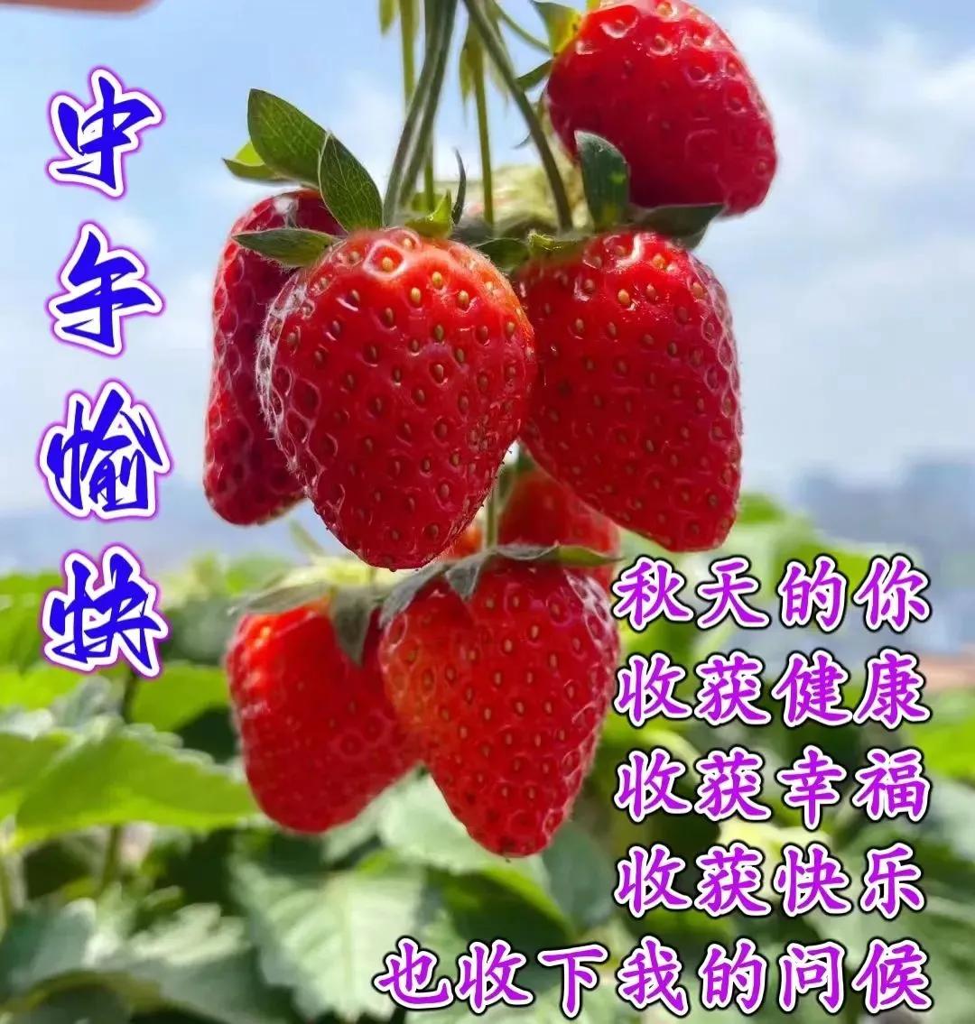 周末早安最漂亮问候图片带字,周三早安正能量图片带字