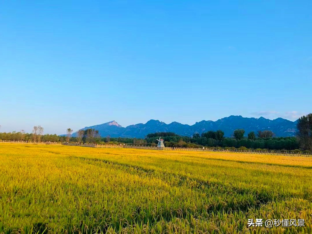 <html>
<head><title>502BadGateway</title></head>
<body>
<center><h1>502BadGateway</h1></center>
<hr><center>nginx</center>
</body>
</html>
<!--apaddingtodisableMSIEandChromefriendlyerrorpage-->
<!--apaddingtodisableMSIEandChromefriendlyerrorpage-->
<!--apaddingtodisableMSIEandChromefriendlyerrorpage-->
<!--apaddingtodisableMSIEandChromefriendlyerrorpage-->
<!--apaddingtodisableMSIEandChromefriendlyerrorpage-->
<!--apaddingtodisableMSIEandChromefriendlyerrorpage-->
