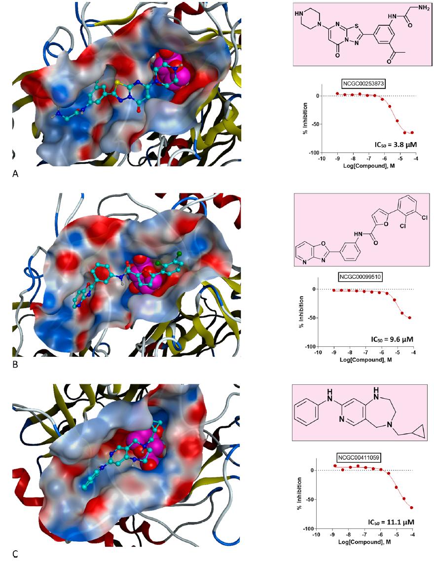 JCIM|虚拟筛选发现微生物组β-葡萄糖醛酸酶*制剂抑**