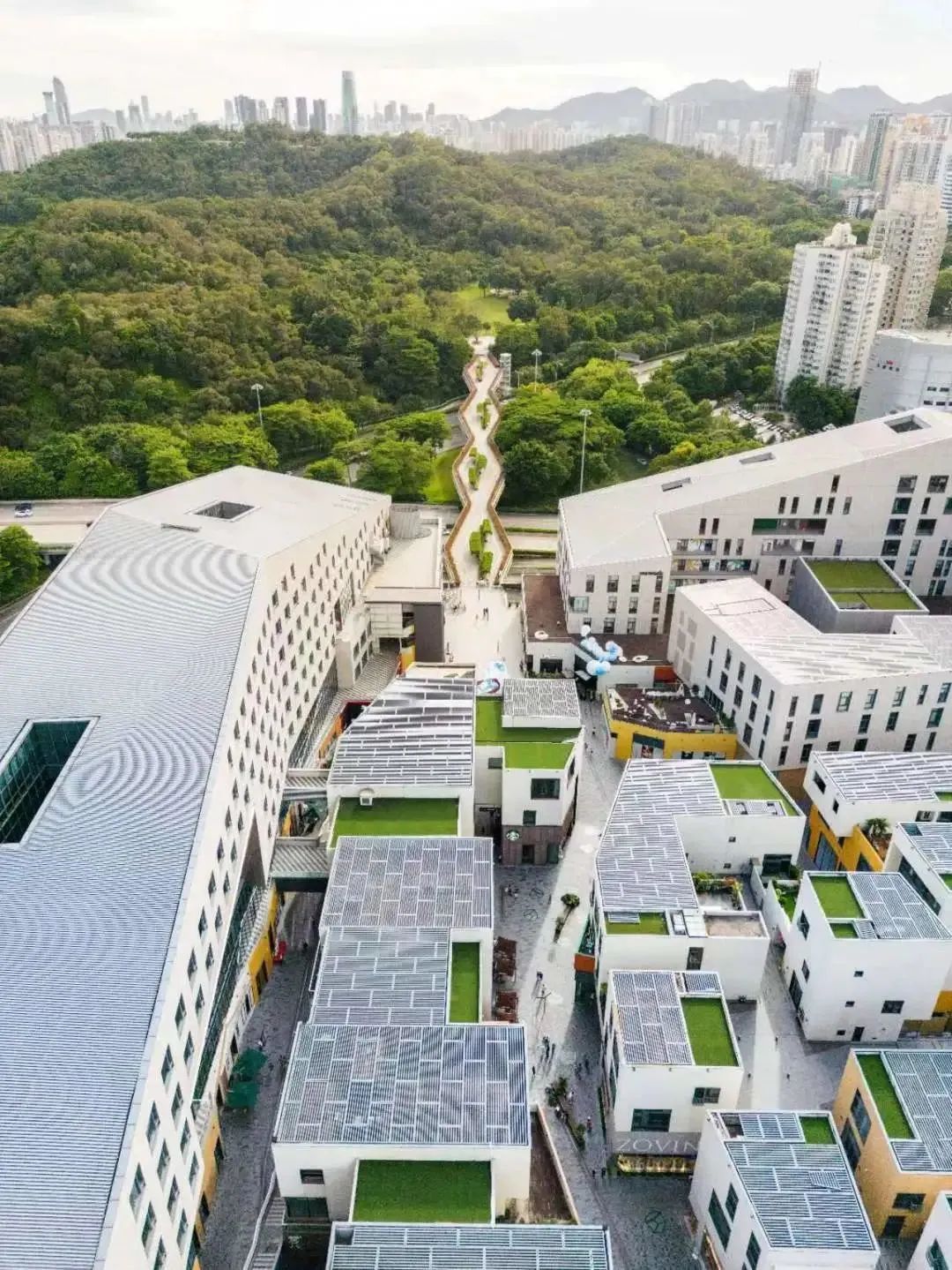 不只是反向代购,深圳这个商场让港人反向“逛购”