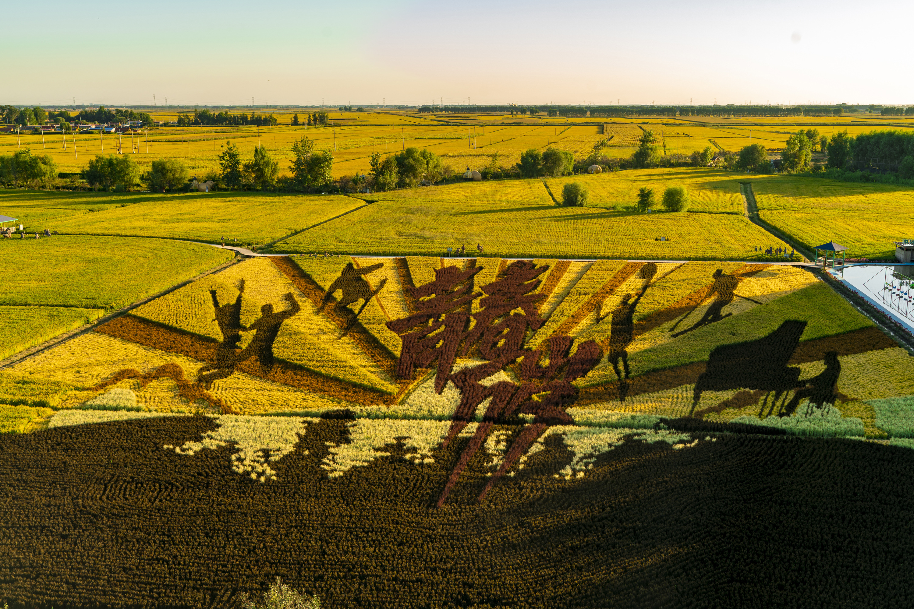 沈阳市稻梦空间,沈阳稻梦空间附近农家院