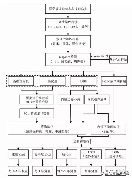 萎缩性胃炎伴肠化增生还能活多久,萎缩性胃炎肠化一定会发展增生吗
