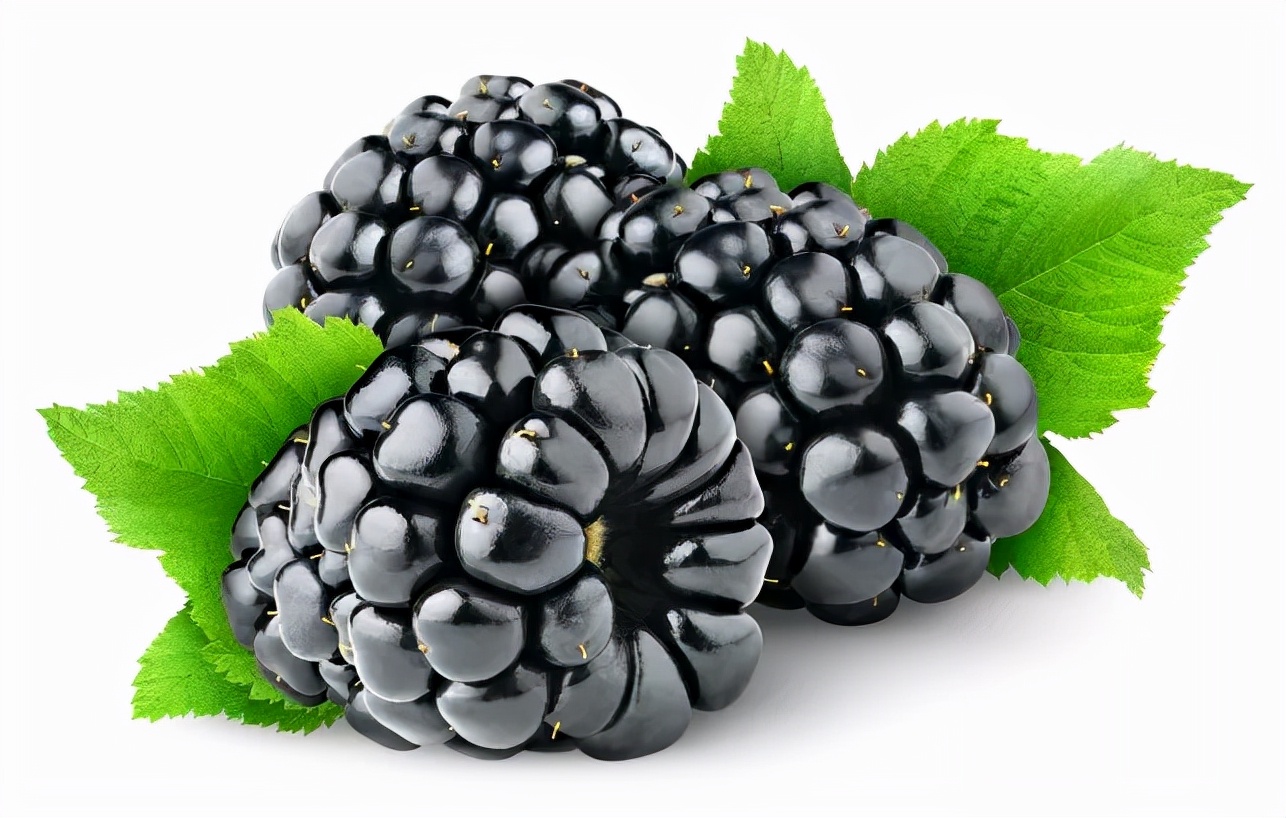 口苦口涩是肝不好还是胃不好,口苦口臭肝区胀怎么回事