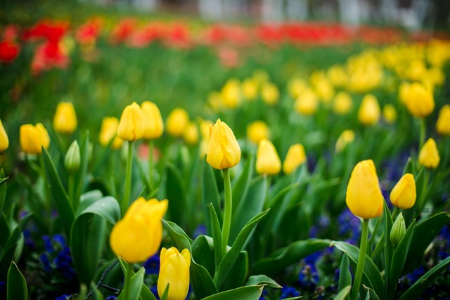 有一种朋友不在身边却在心间语录,有一种爱不在身边却在心间