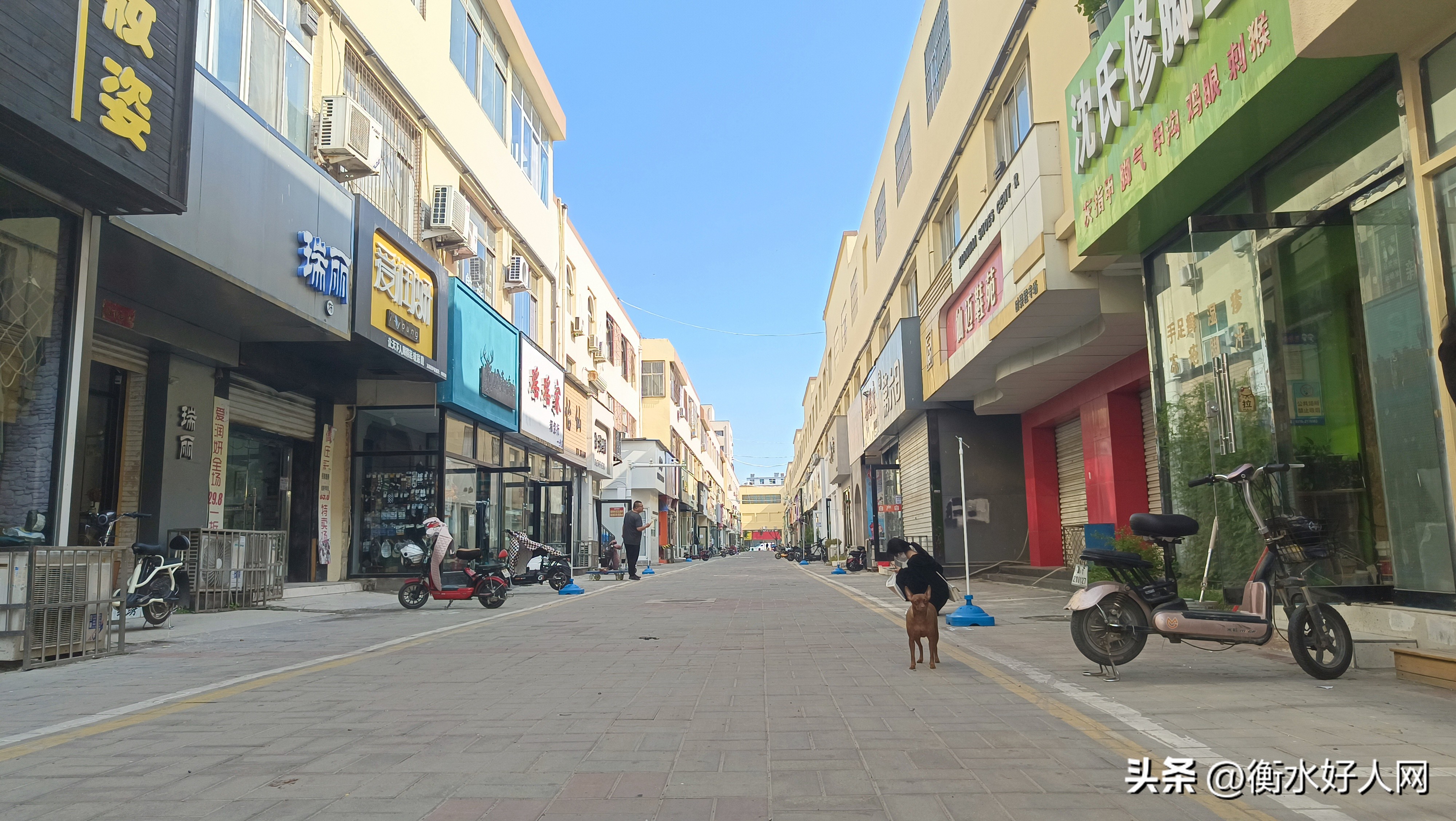 衡水开发区城市建设,衡水城市建设管理局