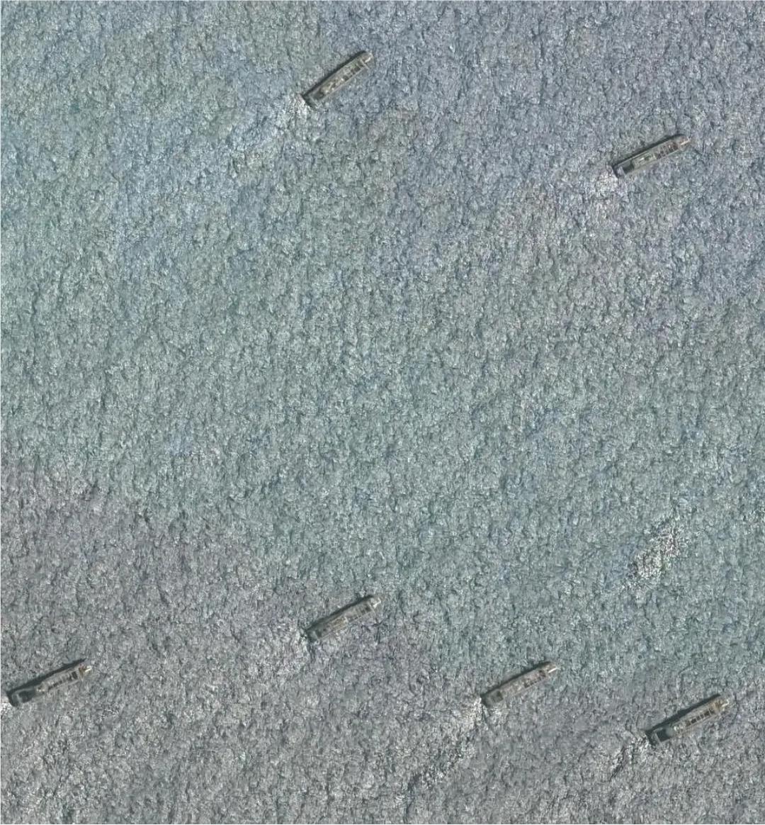 南海菲律宾马科斯,菲律宾专家质疑马科斯涉南海提议