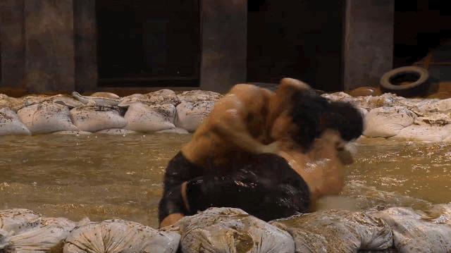 交流版鱿鱼游戏,珍藏版鱿鱼游戏