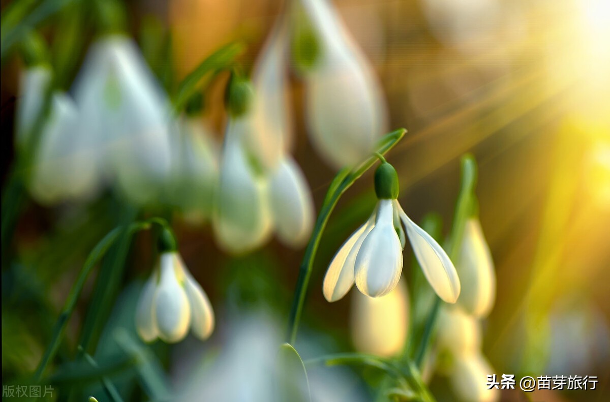 韩国C39五年多次旅游签证怎么办理？