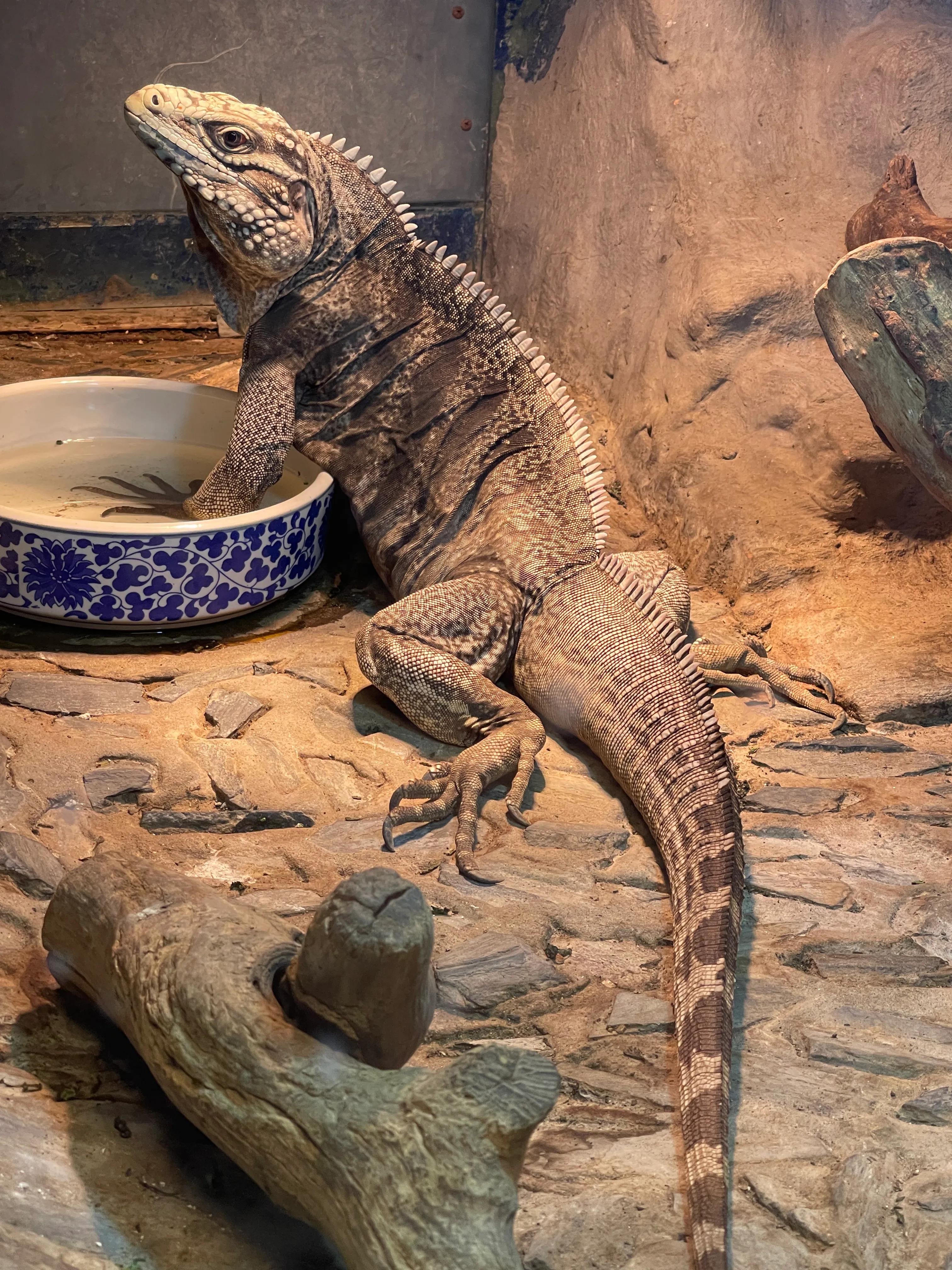 上海大自然野生昆虫博物馆,上海野生昆虫馆门票