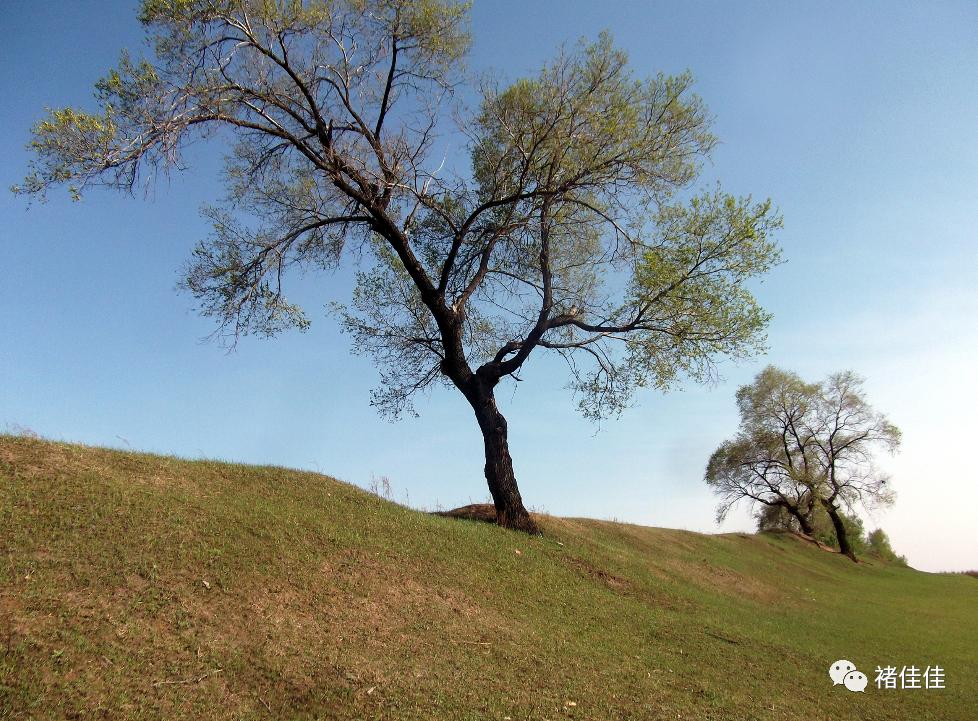 宋朝金元城,宋朝都城长安城