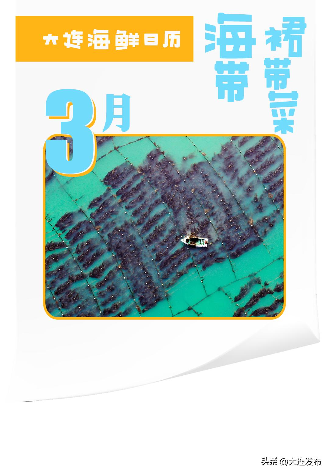 实现海鲜自由的秘诀,实现海鲜自由另一种说法