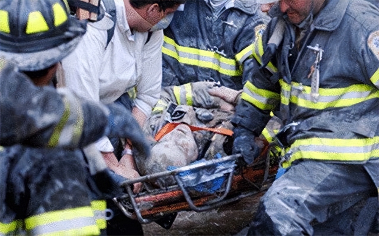 2001年飞机撞机事件视频,华裔空姐临终前录音