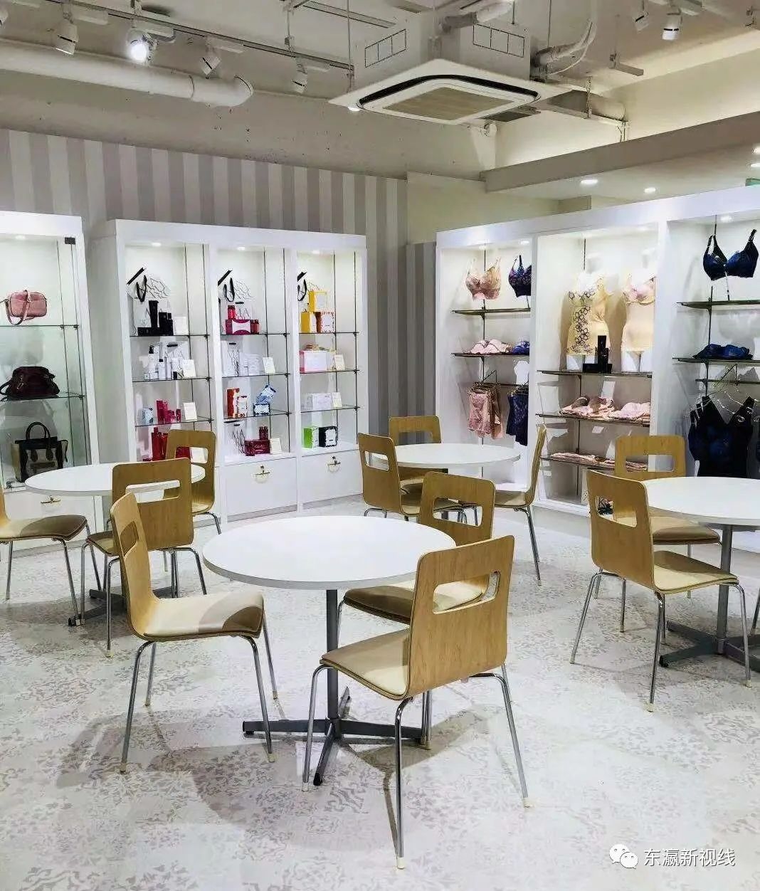 “内衣出口大王”谢敦敏:把内衣做成跨国传奇,赢得中日同行赞誉