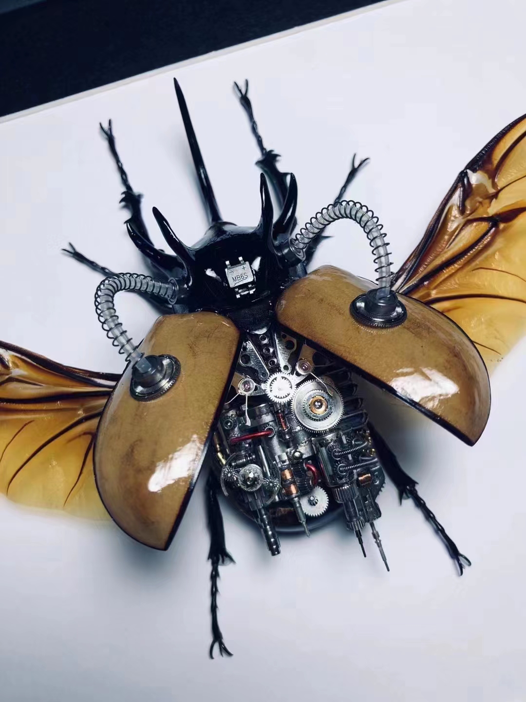 蒸汽朋克蝴蝶标本制作,甲虫标本蒸汽朋克制作