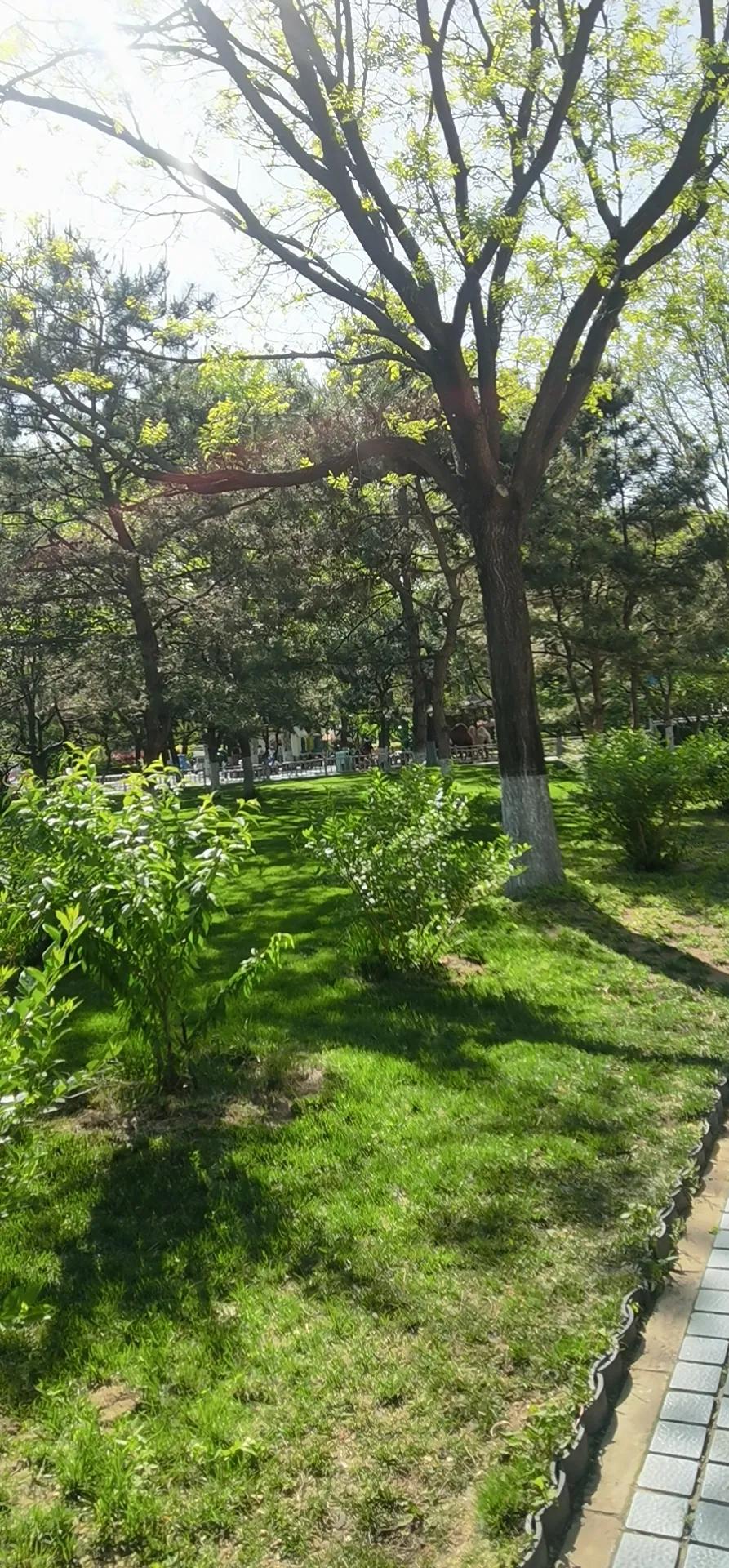 北京人移居固安真实感受,北漂定居固安记录生活