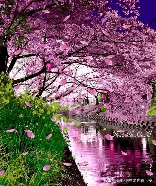 宅在家里挣钱的副业,宅在家也可以找个副业