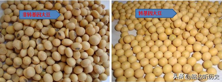 美国怎么防止粮食垄断,美国粮食垄断计划