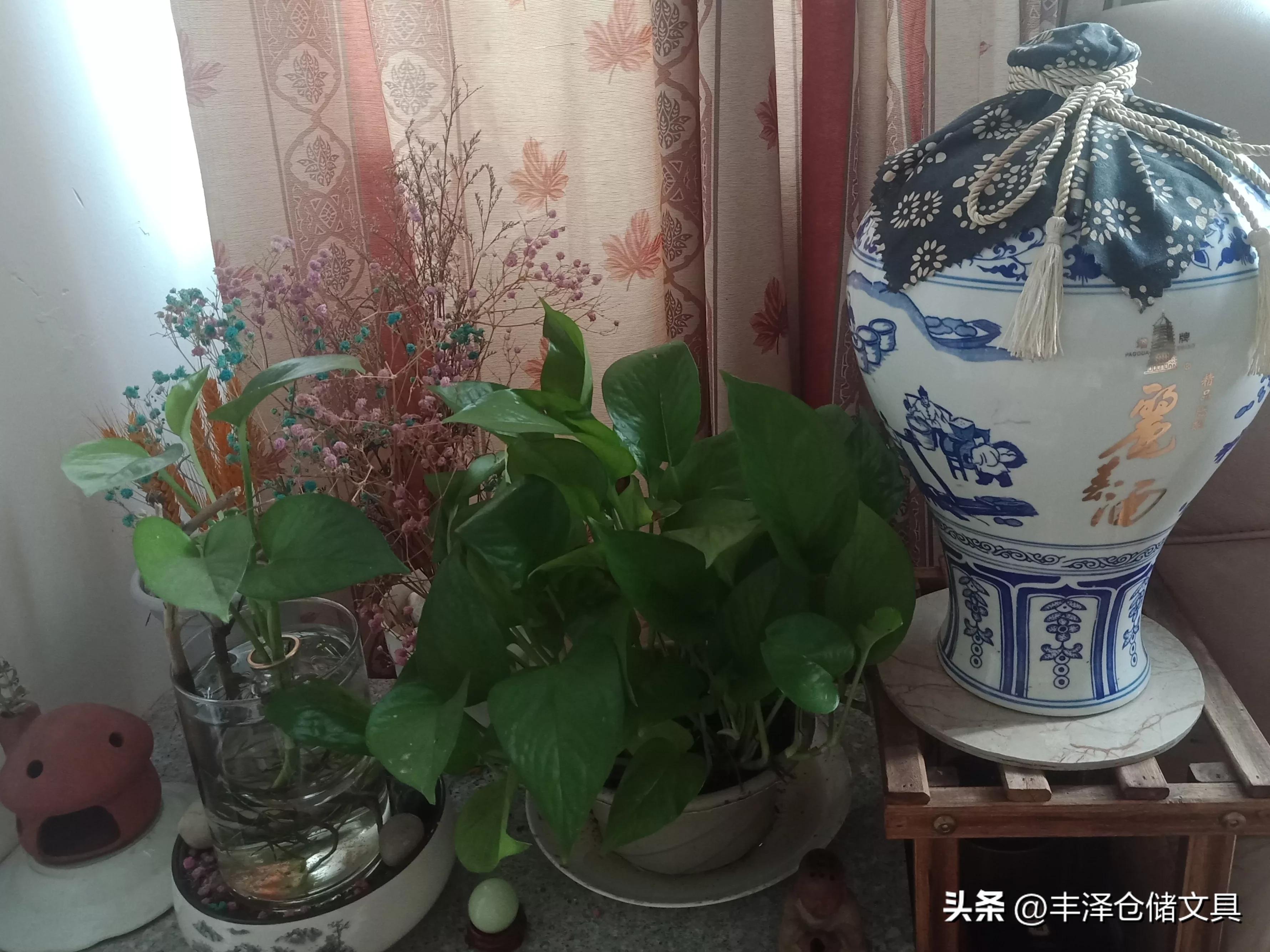 因为懂得了所以不离不弃,有一种美好叫你不离不弃