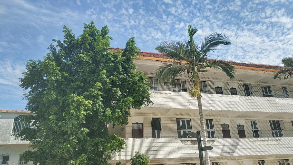 婚姻房屋居住权纠纷的案例,2021年居住权纠纷案例