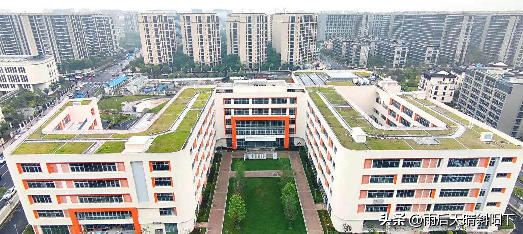 杭州中小学校长调整,杭州市教育系统新校长