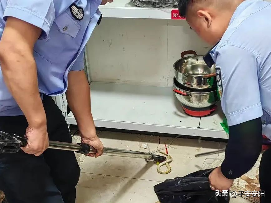 秋日暖警丨秋日暖警丨看，秋日里最温暖的“警”色！（二）