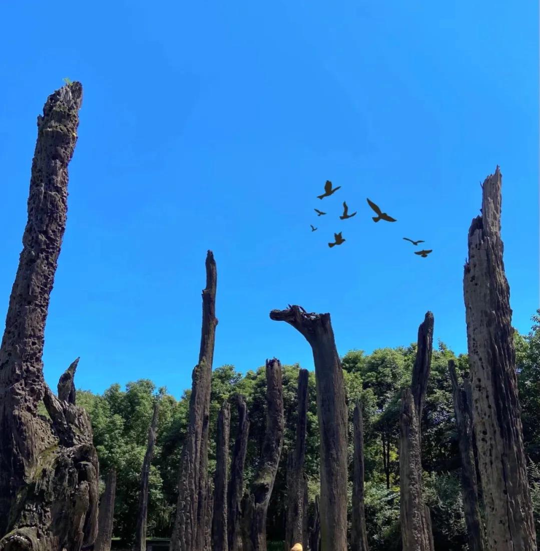 成都孩子室内好玩的地方推荐,一天来回成都周边好玩的地方