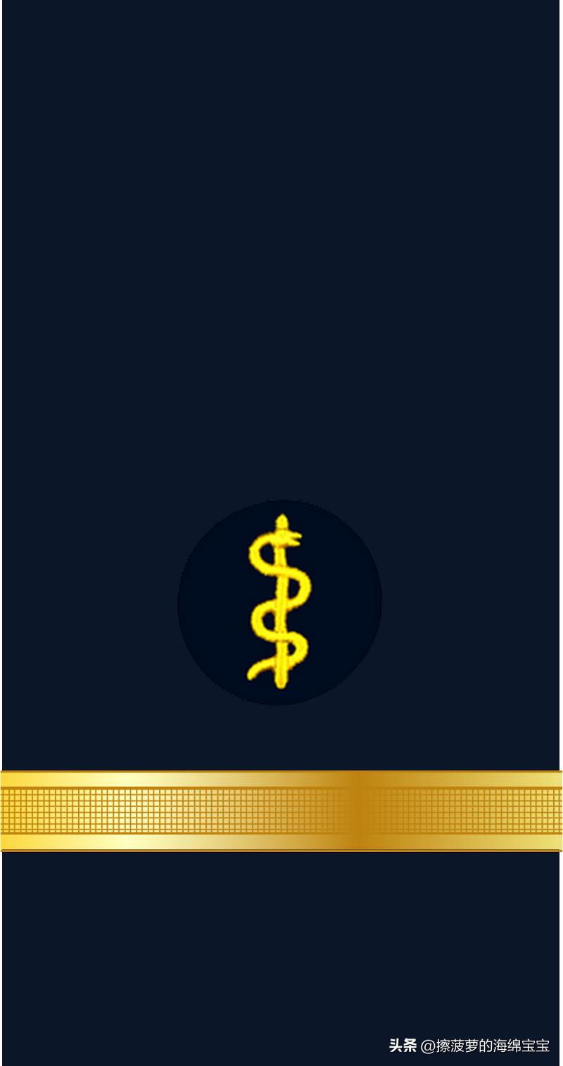 二战德国国防军医疗兵军衔标志