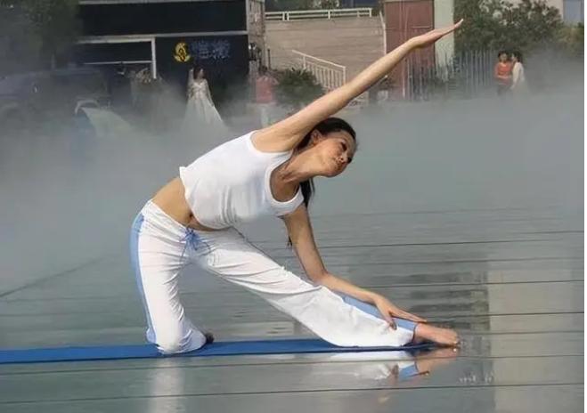 体操女神戴菲菲,菲菲绯闻事件