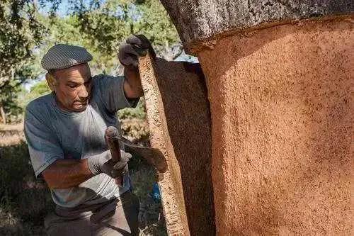 西班牙你所不知道的,西班牙冷知识大全视频