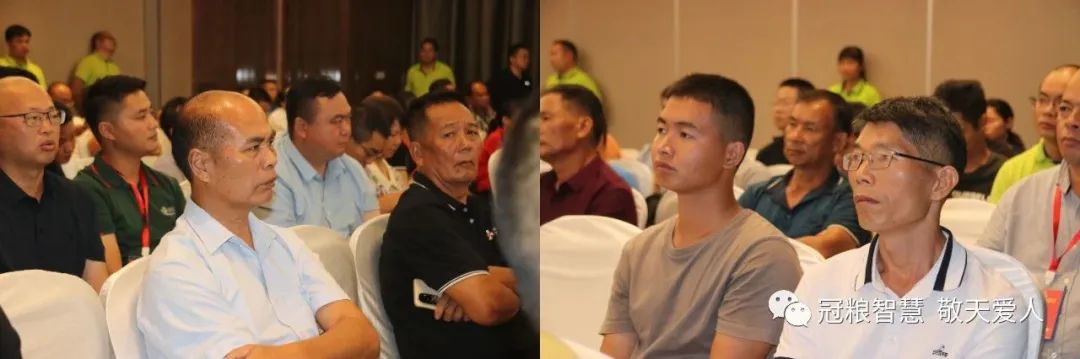 柑橘黄龙病防控工作总结,柑橘黄龙病绿色防控技术