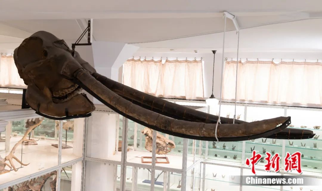 一定要和爱的人去一趟天津,这辈子总要去一次天津