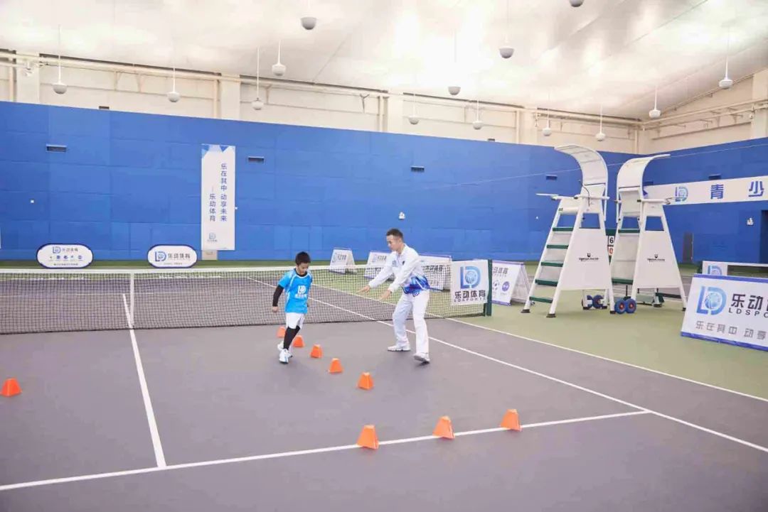 双减政策体育类培训迅速升温,双减政策新东方学而思