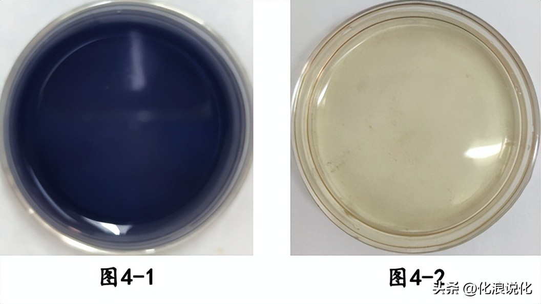 今天你补铁了吗？（附自助小体检）