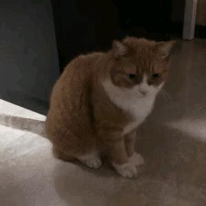 孩子眯眼后总是流泪,孩子眼睛怕光总是眯眼睛怎么治疗