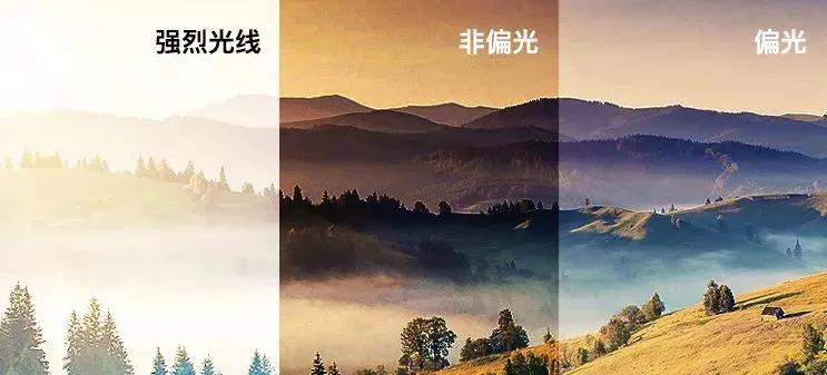 驾驶员开车太阳镜推荐评测,驾驶员太阳镜推荐哪个牌子