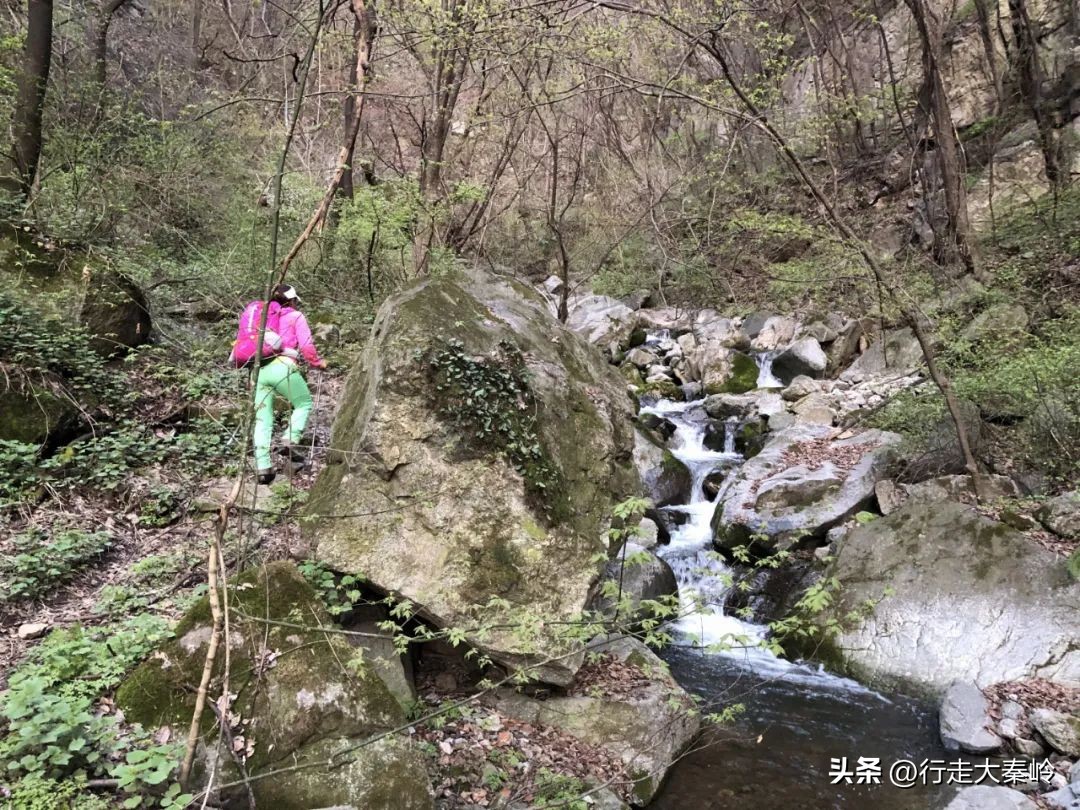 首阳山穿越大坪梁景色怎么样,大坪梁穿越到首阳山攻略