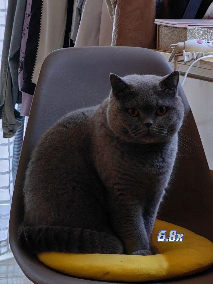 华为mate50pro用了10天,华为mate50pro与mate40pro对比