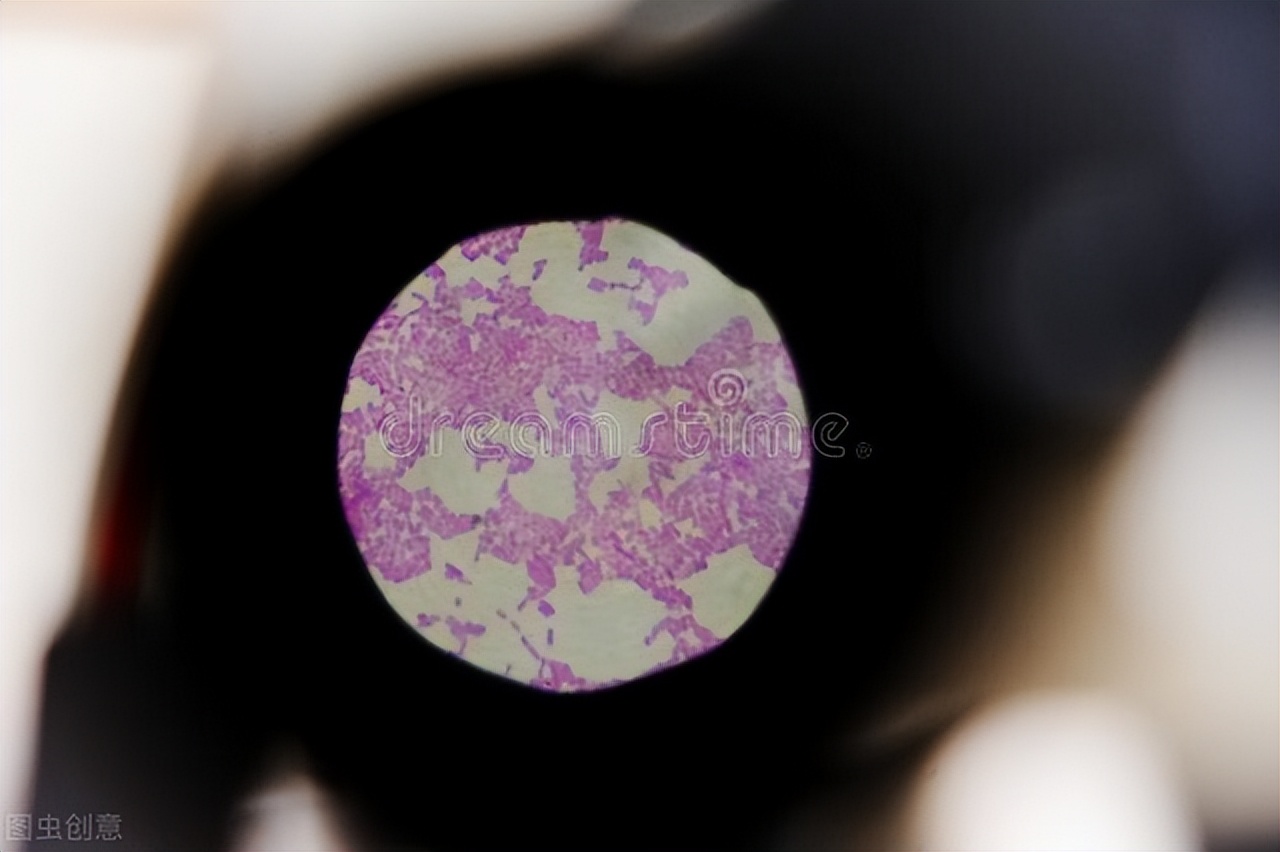 淋病很危险么,淋病的危害和后果