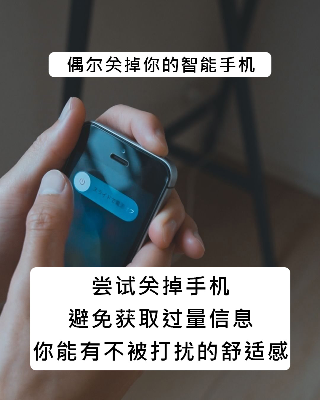 日本夫妇博主资产,日本博主夫妇3年存200万