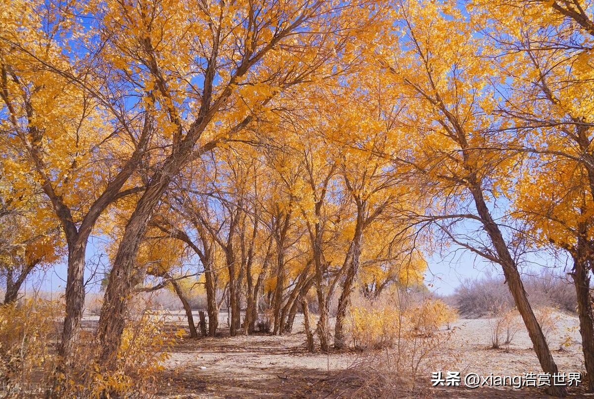 中国最晚的日落城市,中国最晚见到日出的城市