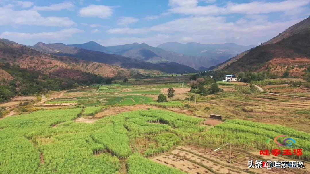 红糖糍粑体验,正宗红糖熬制