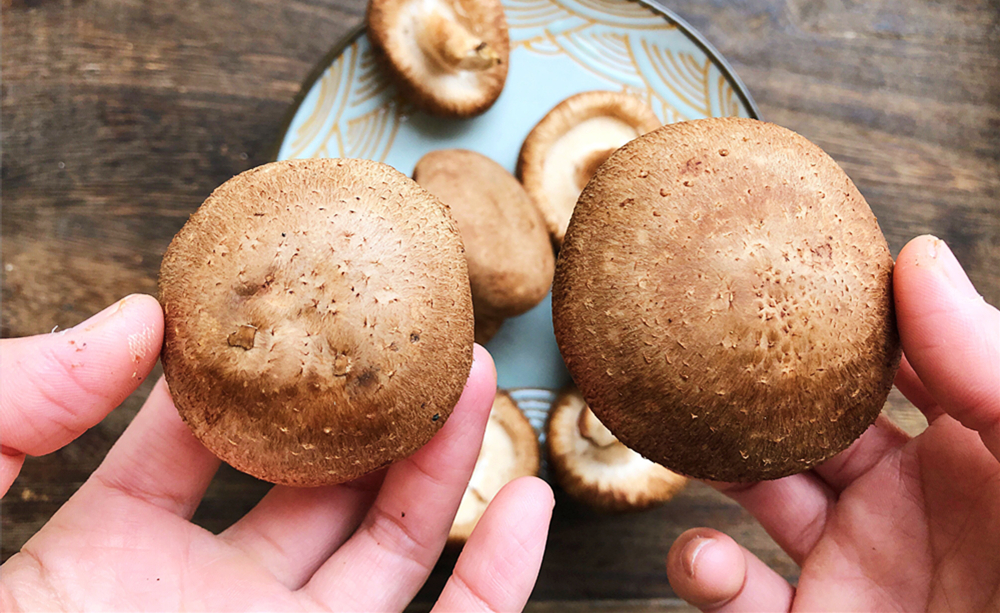 买香菇应该买大的还是买小的,买香菇怎么选