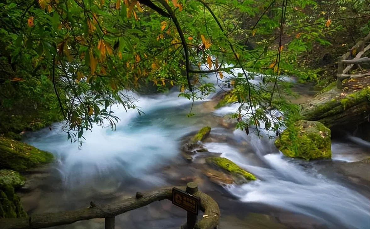 最是新秋好时光，有关新秋的诗词，在诗词里欣赏新秋的美景！​