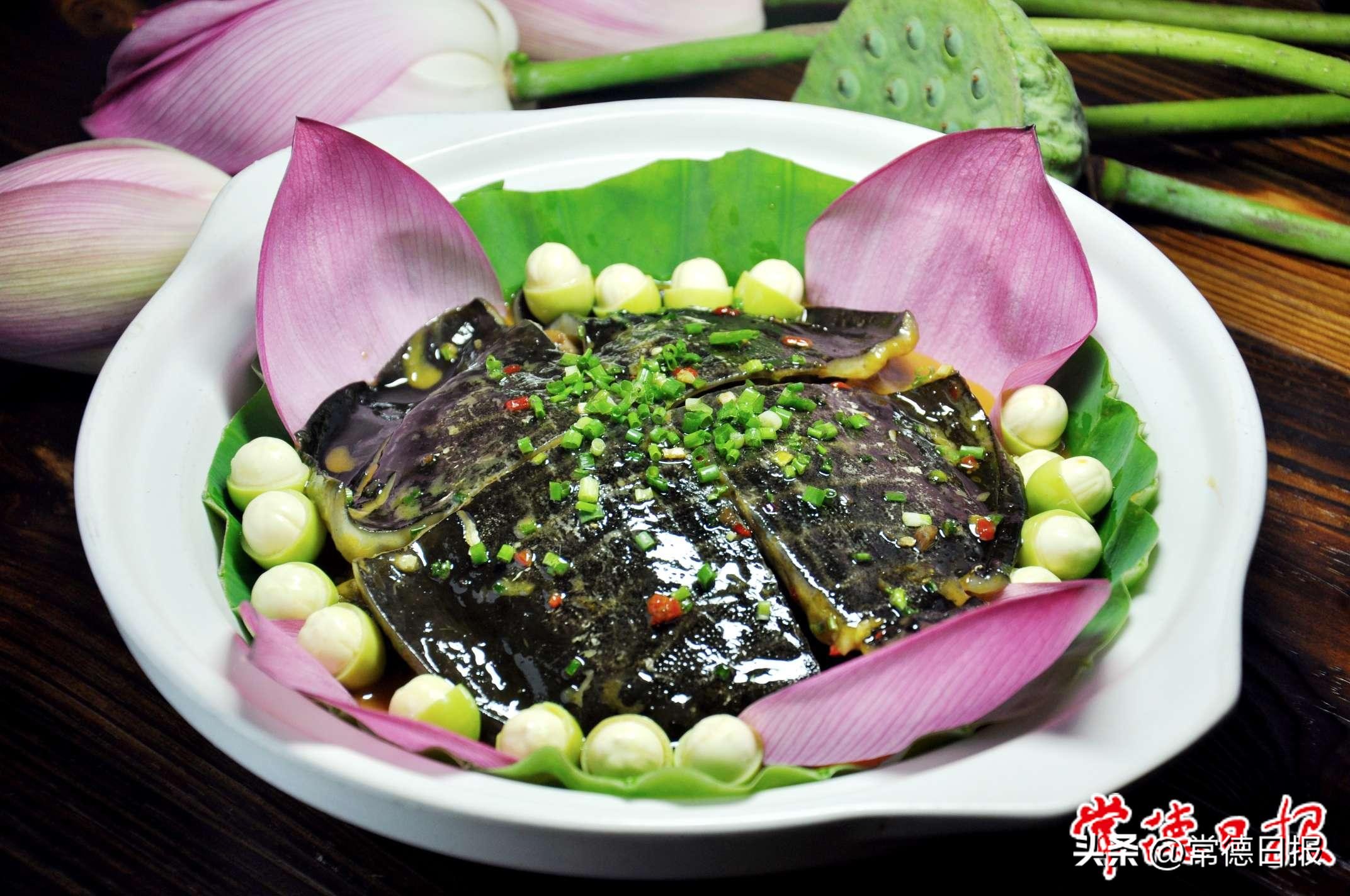 发展特色产业助力乡村振兴——写在常德甲鱼推介及招商活动举办之际