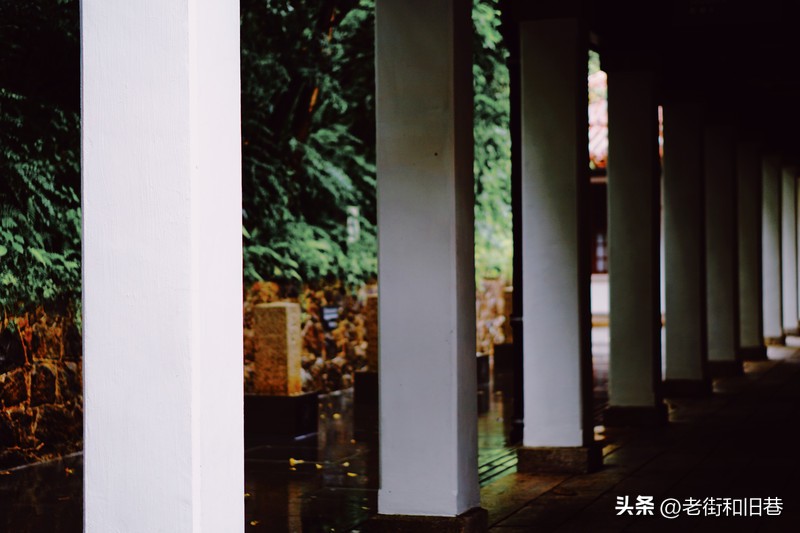 罗生门和黄粱梦,罗生门香港live