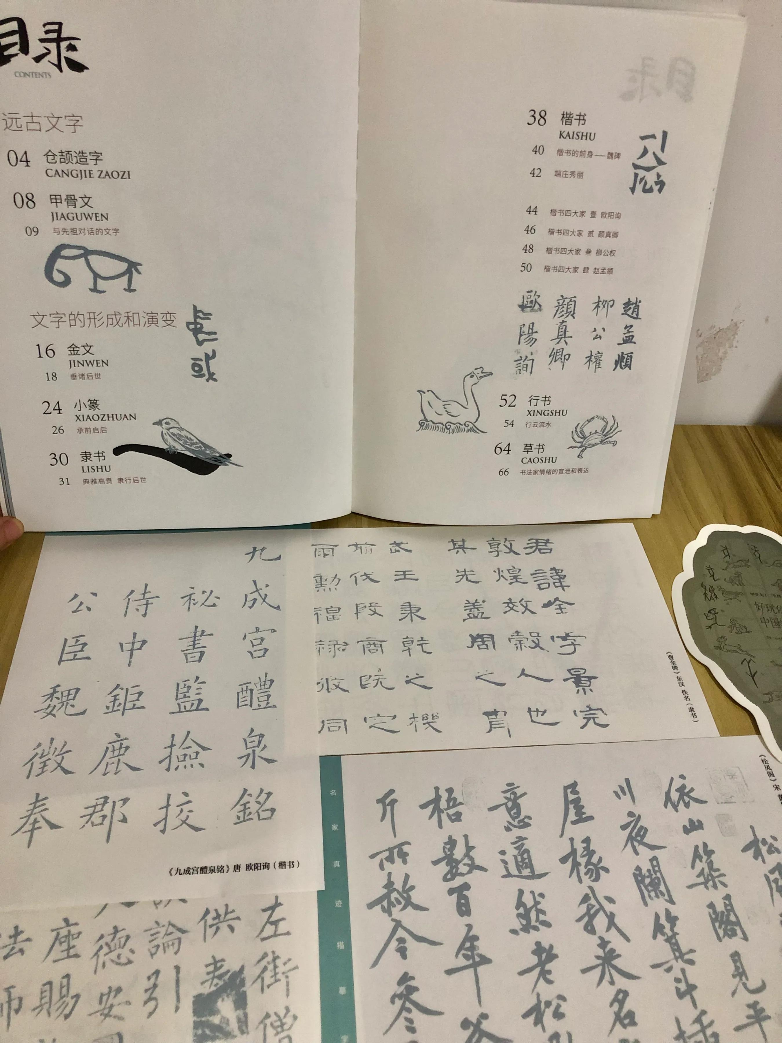 三升四暑假课外阅读书籍推荐,提升文学素养必读书单