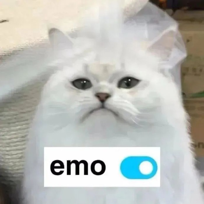 诈骗套路千千万下一句,套路千千万学会一招不被骗