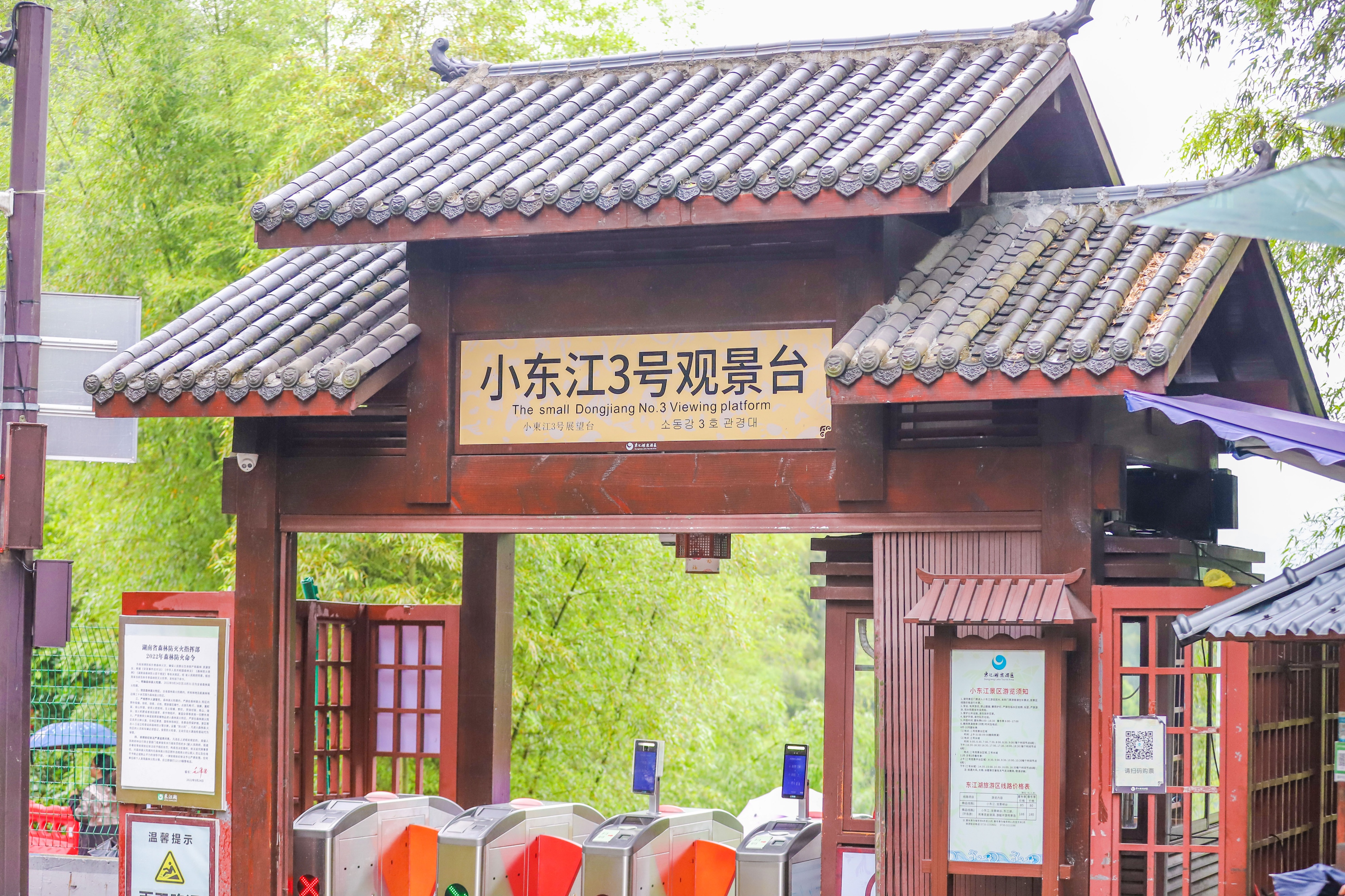 郴州东江湖渔夫撒网时间,郴州东江撒网捕鱼