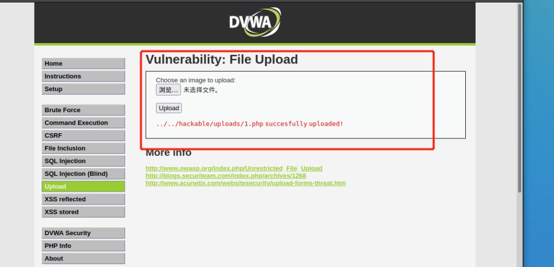 web渗透漏洞挖掘项目报告,web渗透与漏洞挖掘下载